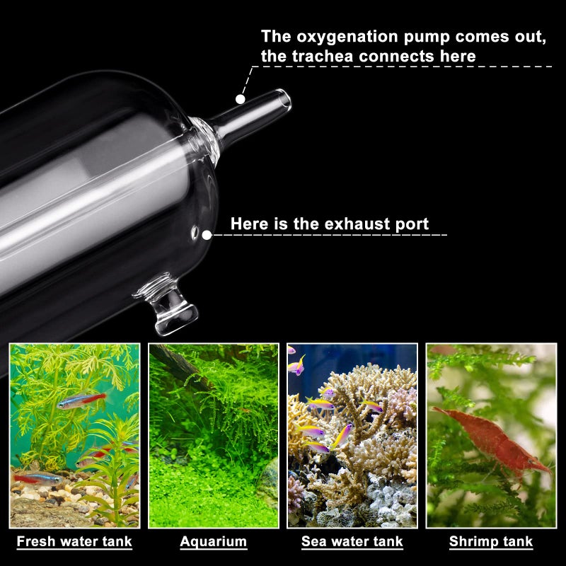 WEAVERBIRD Aquarium Air Bubbler Glass Cup Air Diffuser Dissolved Oxygen Device with Water Tube, Sucker Air Stone, High Dissolved Oxygen for Fish Tank - Image 5